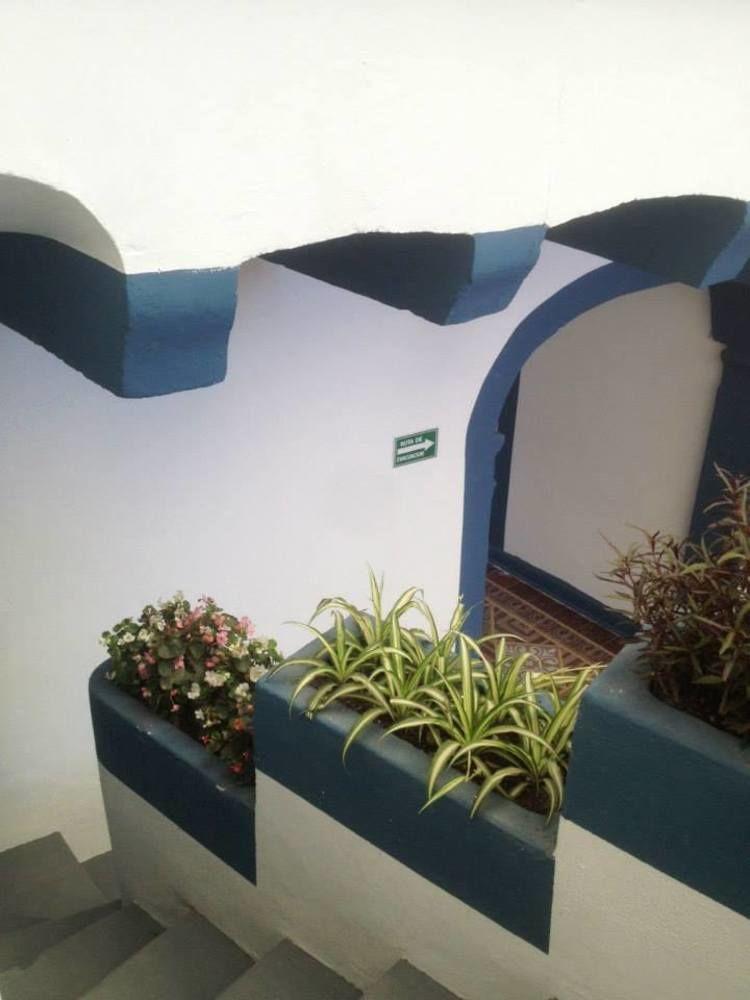 Blue Bicycle House Vandrehjem Querétaro Eksteriør billede